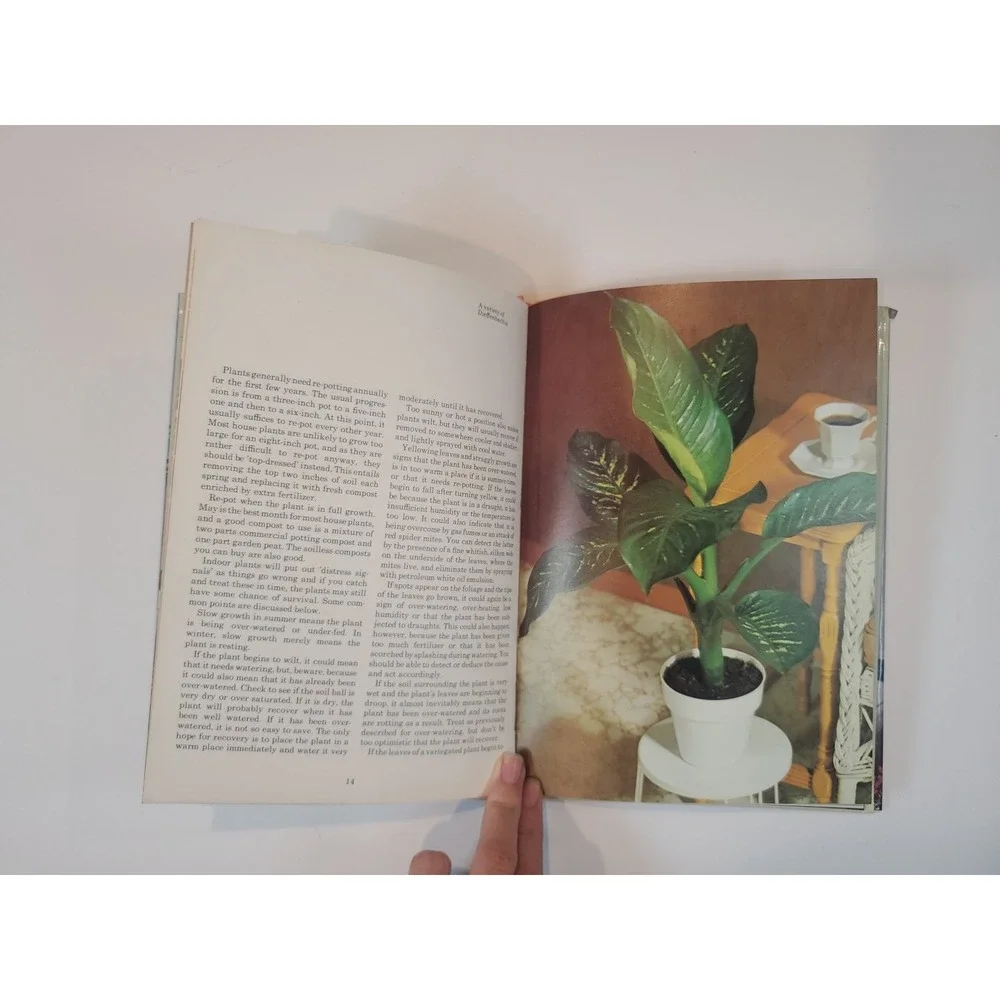 Indoor Plants Book Foliage & Flowering Houseplants Gardening Octopus Books